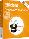 Efficient Password Manager