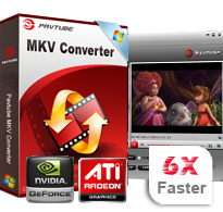 Pavtube MKV Converter
