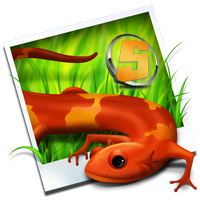 SimplyIcon