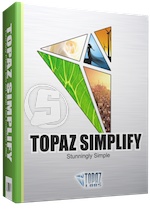 Topaz Simplify